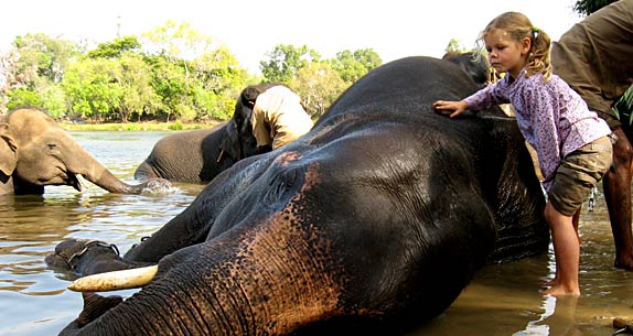 Dubare Elephant 